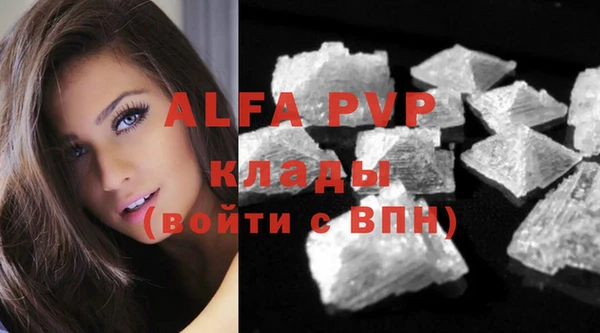 трава Няндома