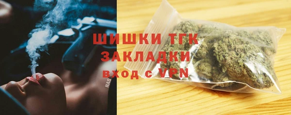 трава Няндома