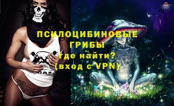 трава Няндома