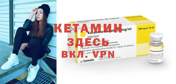 трава Няндома