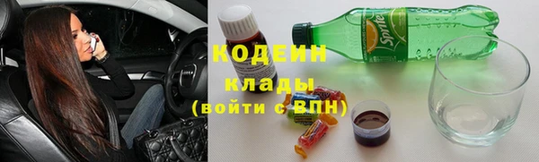 трава Няндома
