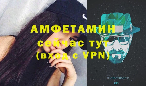 трава Няндома
