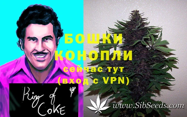 трава Няндома