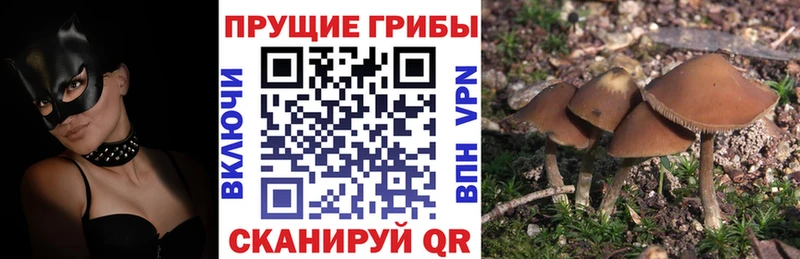 Псилоцибиновые грибы ЛСД  хочу наркоту  Вольск 