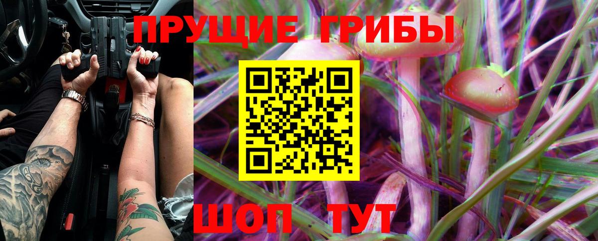 Псилоцибиновые грибы Cubensis Вольск