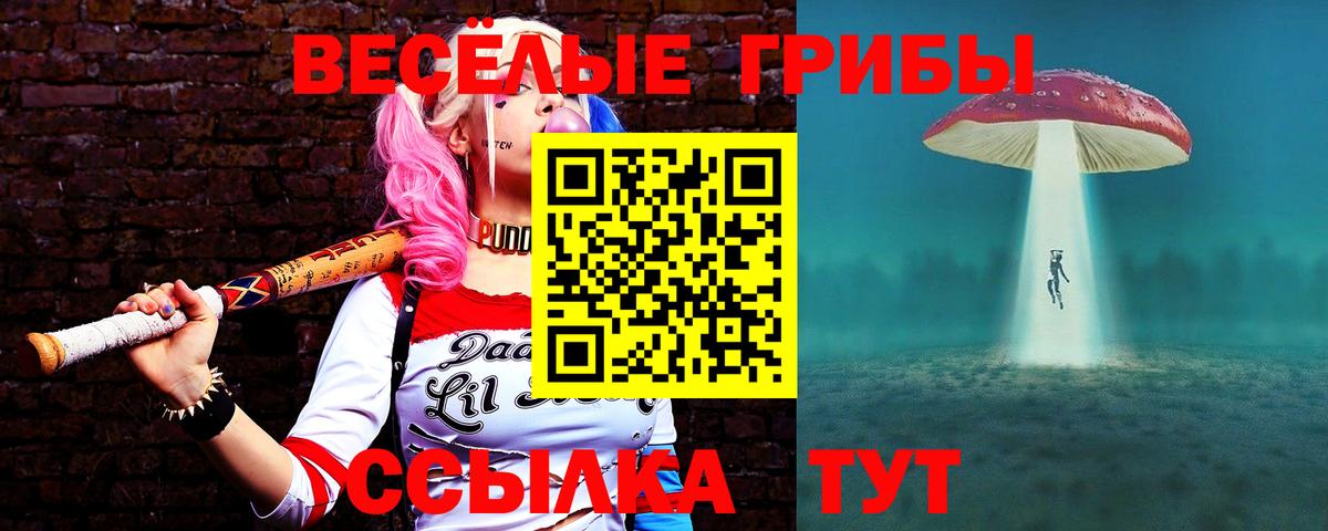 Вольск  Псилоцибиновые грибы MAGIC MUSHROOMS  Вход с VPN 