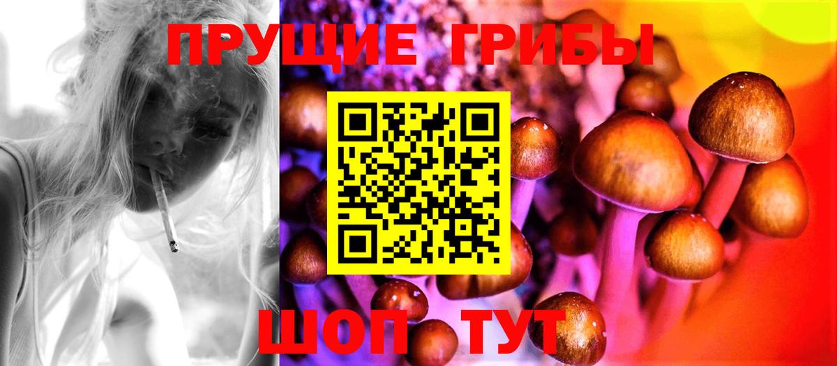 Галлюциногенные грибы мицелий  цена наркотик  Вольск 