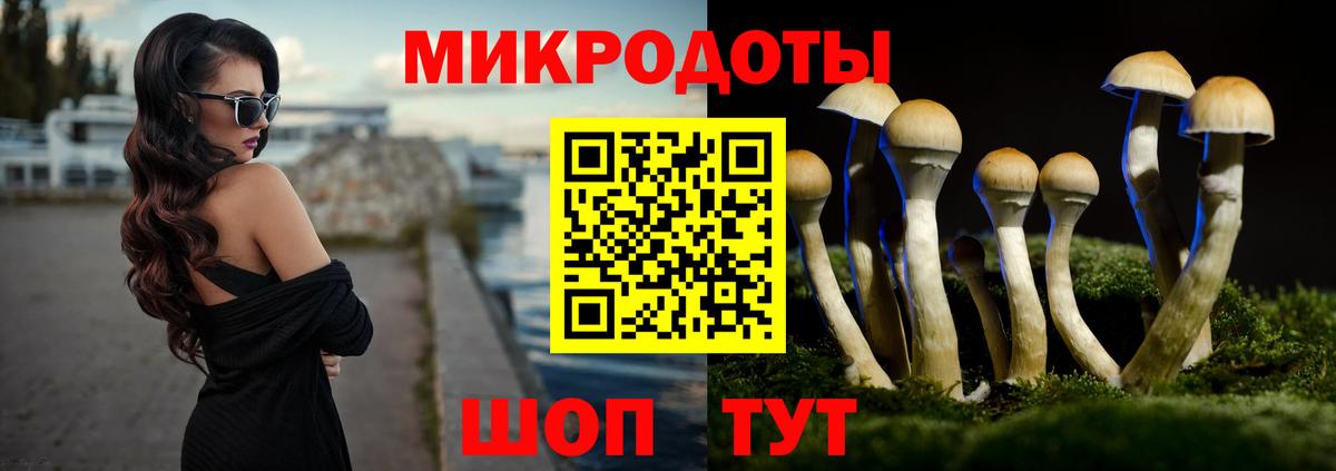 Псилоцибиновые грибы Psilocybe Вольск